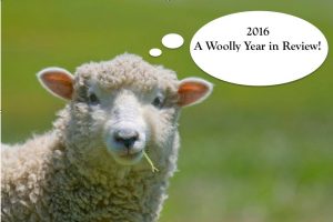 2016. A Woolly Year in Review