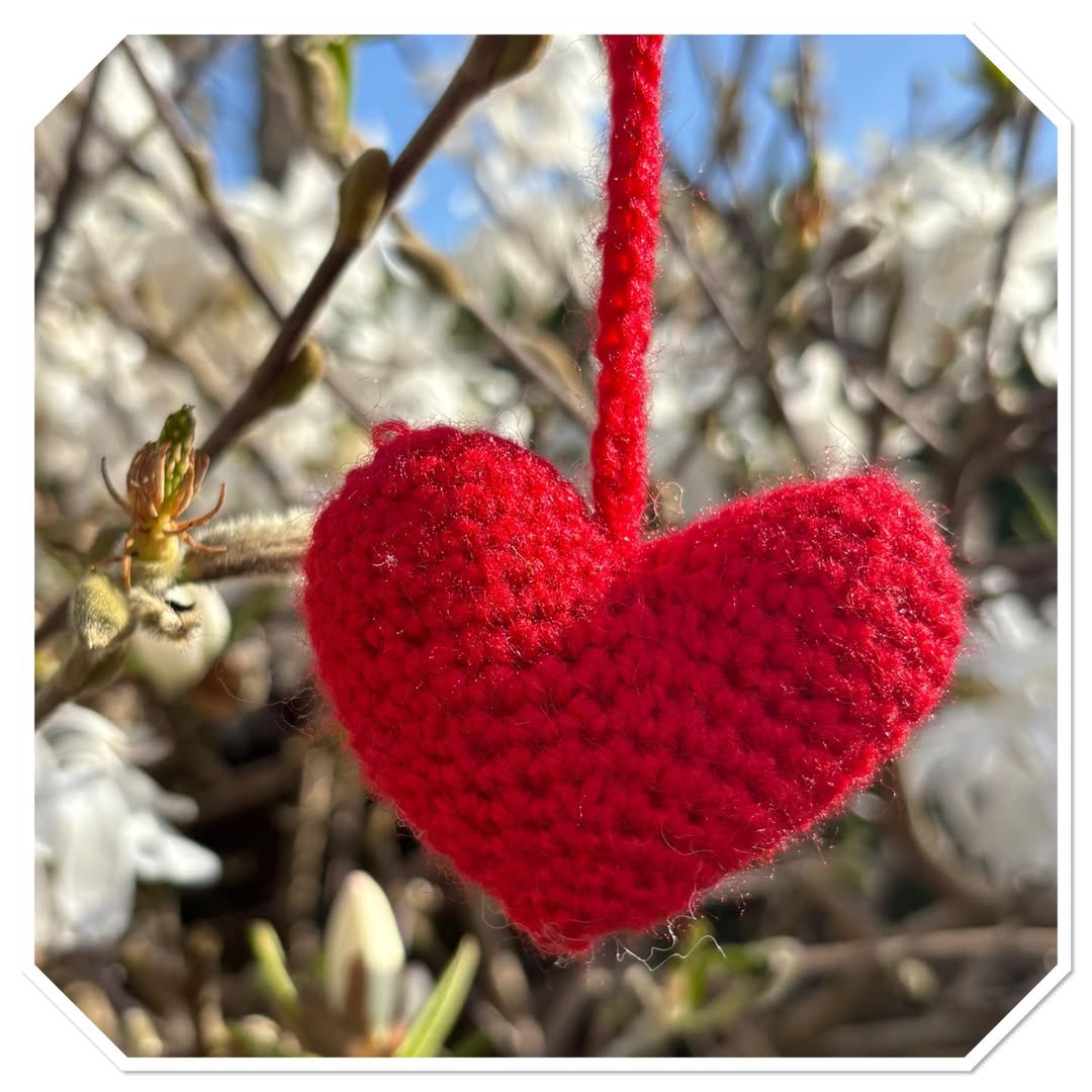 Our Hearty Heart Project