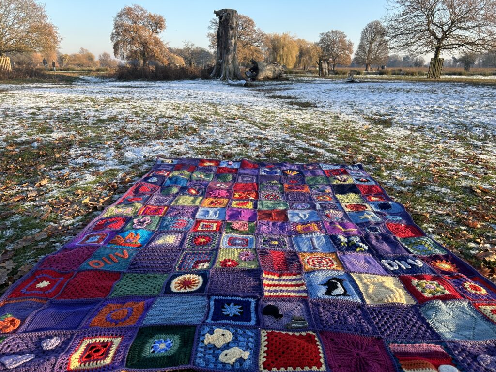 The Blanket for JungleZgok